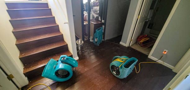 Best Local water damage restoration  in Marissa, IL