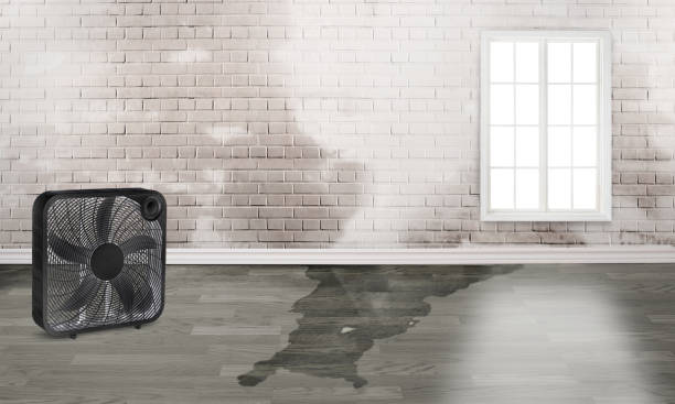 Marissa, IL Water damage restoration Company