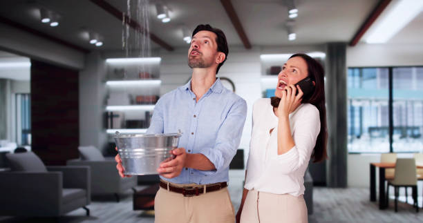 Best 24-hour water damage restoration  in Marissa, IL